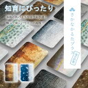 さかなかるたプラス【伝説の魚版・海の釣魚版】かるた 魚 知育 カードゲーム 玩具 教育 おもちゃ お風呂 人気 知育玩具 さかなかるた 学習 生き物 千葉印刷