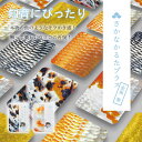 さかなかるたプラス【金魚版】かるた 魚 知育 カードゲーム 玩具 教育 おもちゃ お風呂 人気 知育玩具 さかなかるた 学習 生き物 千葉印刷