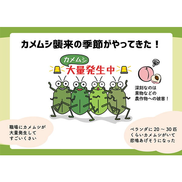 カメムシ 御免! (メール便送料無料) カメムシ 忌避剤 カメムシ対策 カメムシ除け ...