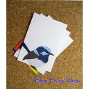 ポストカード ルリオーストラリアムシクイAUS直輸入☆Australian Bird Graphic Card 【インコ・鳥・雑貨・グッズ】