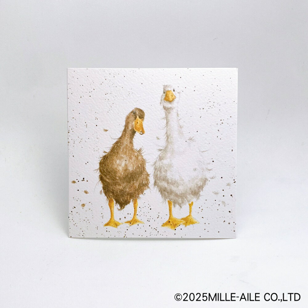 英国製 ダックペアのグリーティングカード by Wrendale Designs bird-style-10000562 鳥グッズの店Bird-style楽天市場店 サンプル画像2