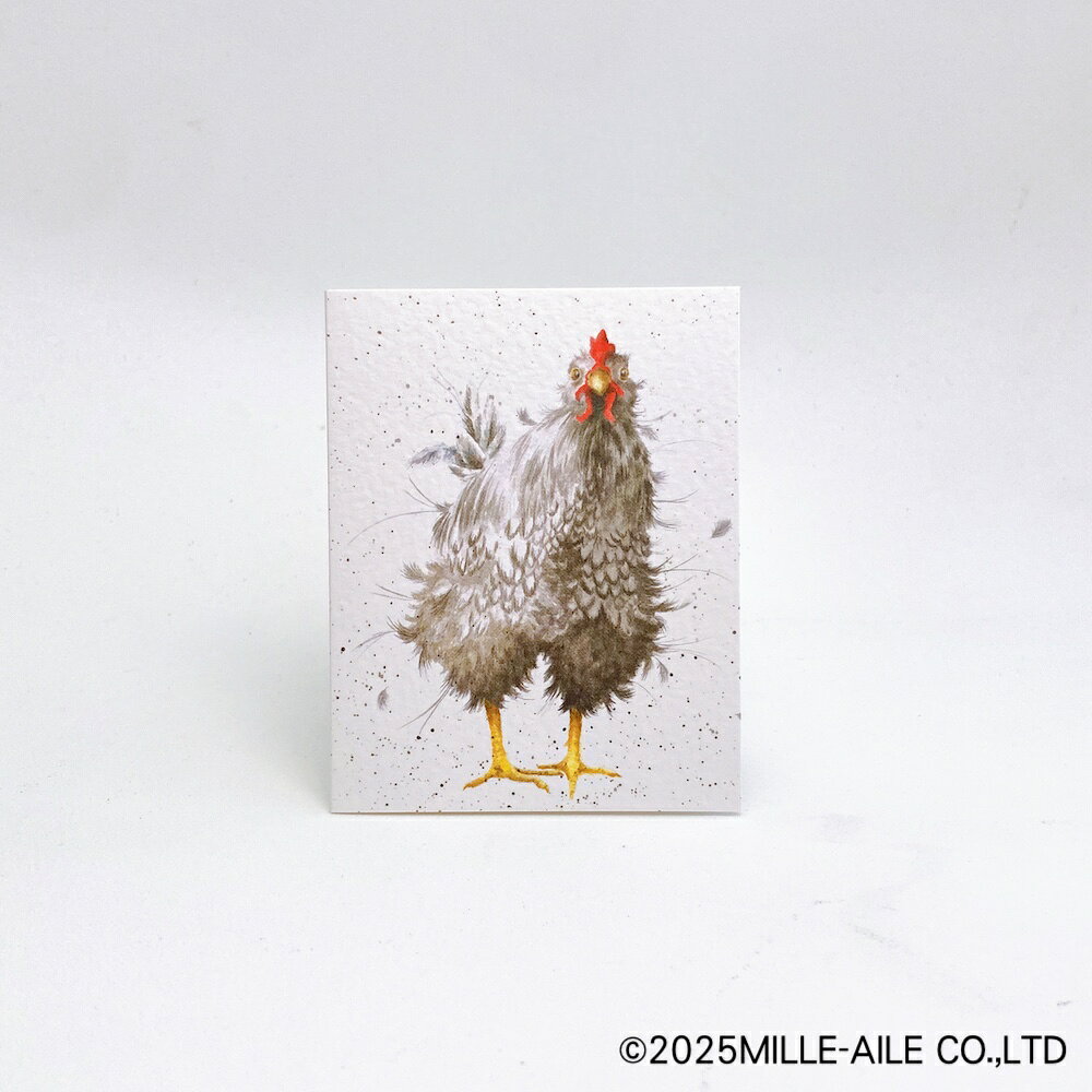 英国製 ニワトリのミニメッセージカード by Wrendale Designs bird-style-10000559 鳥グッズの店Bird-style楽天市場店 サンプル画像2