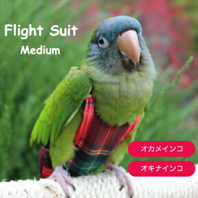 フライトスーツ　ミディアム【Avian Fashions】