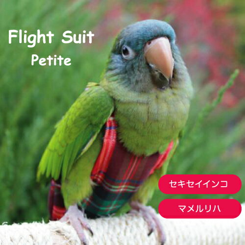 フライトスーツ　プチ【Avian Fashions】