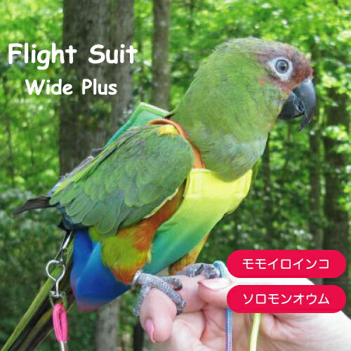 フライトスーツ　ワイドプラス【Avian Fashions】