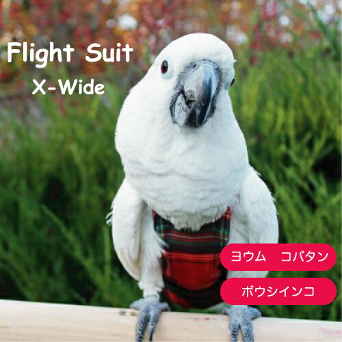 フライトスーツ　エックスワイド【Avian Fashions】