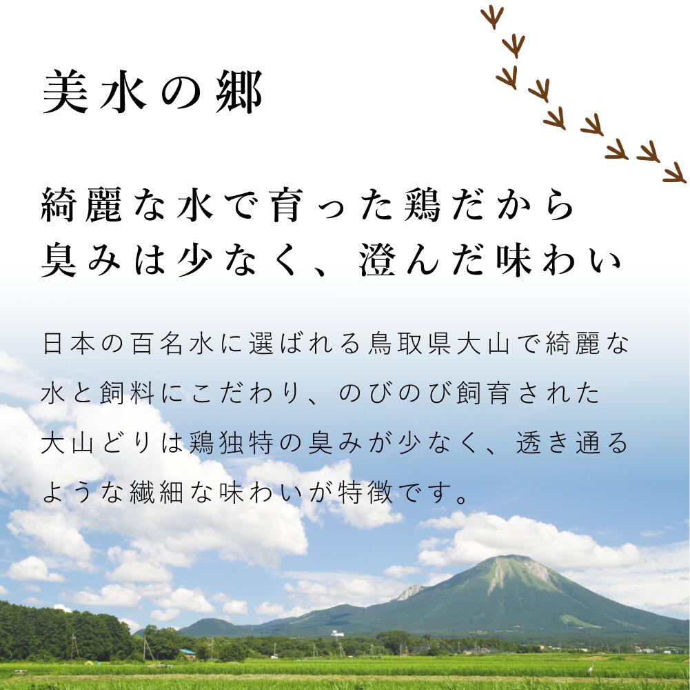 【スーパーセール！クーポン配布中】ブランド鶏出汁セット bird44-10001546 とりよし サンプル画像3
