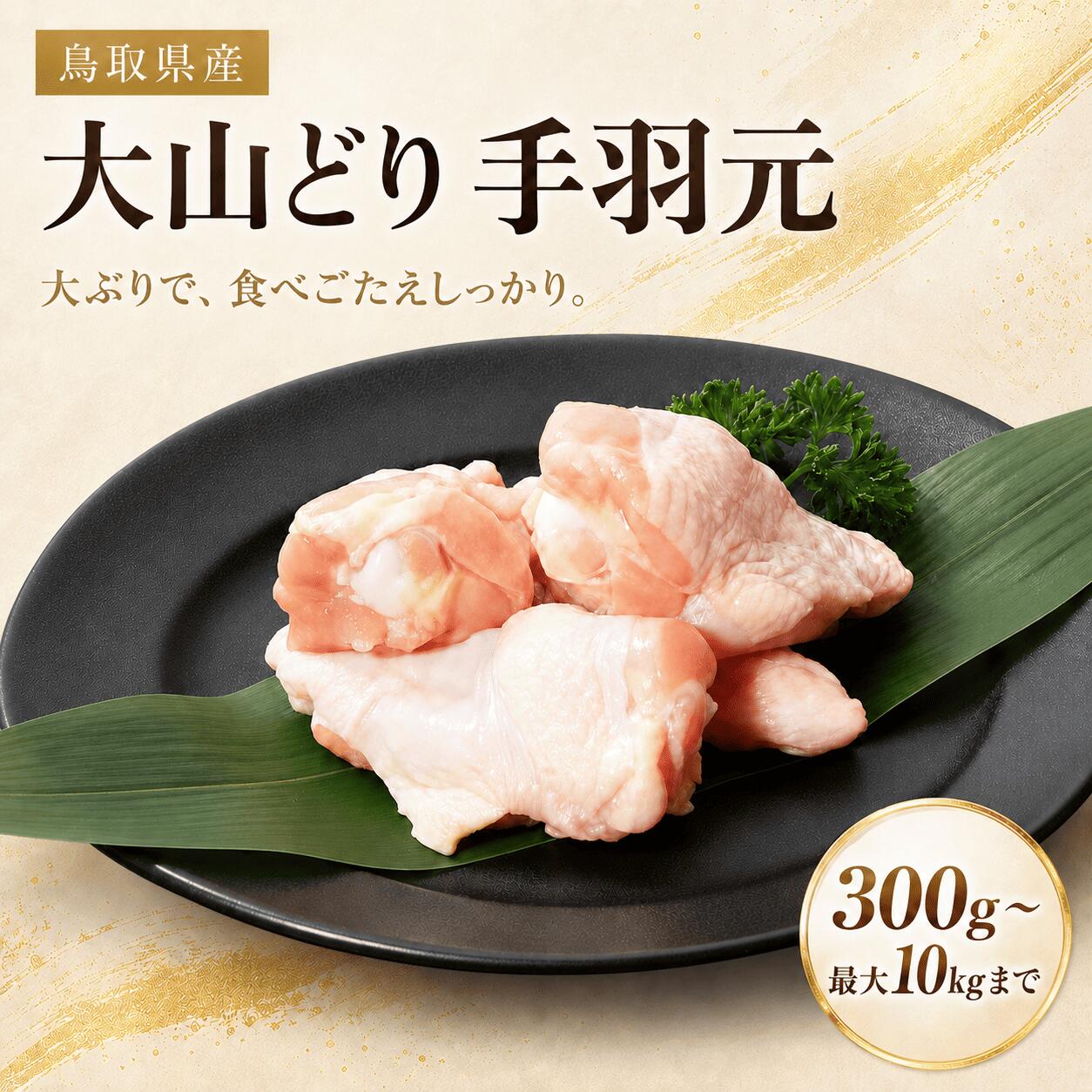 鳥取県産 大山どり 手羽元 300g-10kg 国産 銘柄鶏 鶏肉 鳥肉 水炊き すき焼き 焼肉 焼き鳥 唐揚げ 鍋 生肉 焼き鳥 塩焼き ギフト 小分け チルド 冷蔵 プレゼント 御祝 内祝