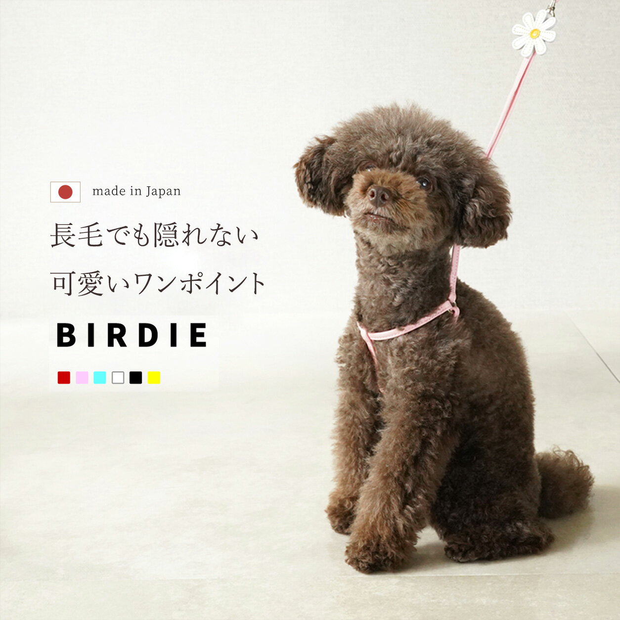 犬 胴輪 リード 猫 おしゃれ 小型犬 中型犬 可愛い 首輪 ハーネス カラー セット おしゃれ ブランド 多頭飼い 軽い 高強度 軽量 柔らかい つけやすい 災害 グッズ 柴犬 フレンチブルドック チワワ トイプードル S M
