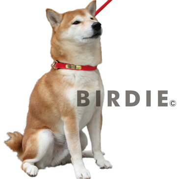 sizeM【BIRDIE(バーディ)名前と電話番号が刻印できる中型犬用迷子防止首輪】ジェントルレザーIDカラー