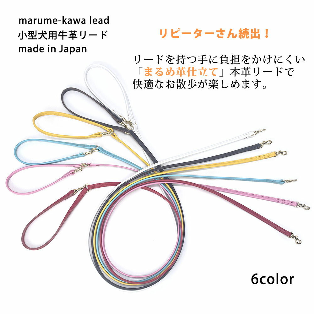 BIRDIE꡼ɡۤޤץ꡼ɥSS