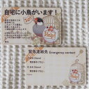 楓工房 緊急連絡先カード・文鳥 文鳥 ・桜、白 202A0375 ネコポス対応可能 BIRDMORE バードモア CRAFT GARDEN 鳥用品 鳥グッズ 雑...