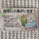 楓工房 緊急連絡先カード セキセイインコ セキセイインコ オパーリン オパーリンパイドブルー) 202A0384 ネコポス対応可能 BIRDMORE バードモア CRAFT GARDEN 鳥用品 鳥グッズ 雑貨 グッズ 鳥 とり トリ インコ