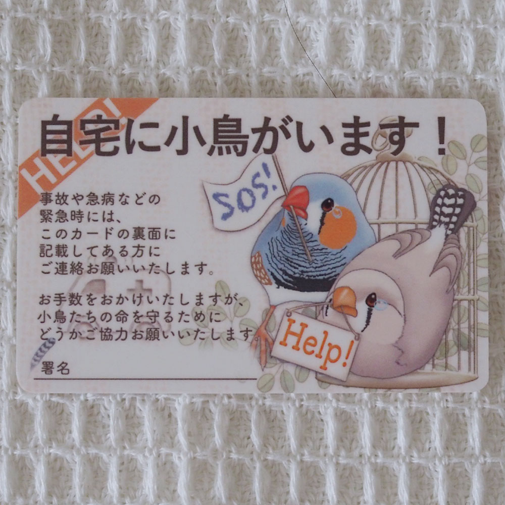 楓工房 緊急連絡先カード・キンカチョウ キンカチョウ・ノーマル、フォーン、CFW 202A0435 ネコポス対応可能 BIRDMORE バードモア CRAFT GARDEN 鳥用品 鳥グッズ 雑貨 グッズ 鳥 とり トリ