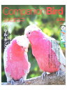 誠文堂新光社 Companion Bird (コンパニオンバード) NO.4 ネコポス 対応可能 9991818
