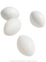 コバヤシ 擬卵 ( 1個 ) オカメ用 9992016 ネコポス 対応可能 BIRDMORE バードモア 鳥用品 鳥 とり トリ インコ ギラン