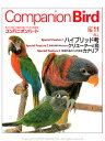 誠文堂新光社 Companion Bird (コンパニオンバード) NO.11 ネコポス 対応可能 9992861