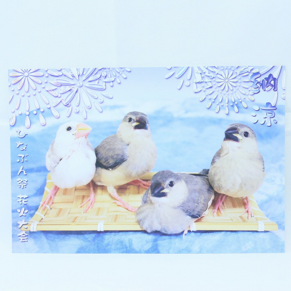 楓工房 / ポストカード・花火/文鳥/202A0114ネコポス 対応可能 （ BIRDMORE バードモア 鳥用品 鳥グッズ 雑貨 鳥 とり プレゼント ）