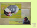だが屋 A5クリアファイル 文鳥・桜 083A0201 ネコポス 対応可能 ( BIRDMORE バードモア CRAFT GARDEN 鳥用品 鳥グッズ 鳥 ...