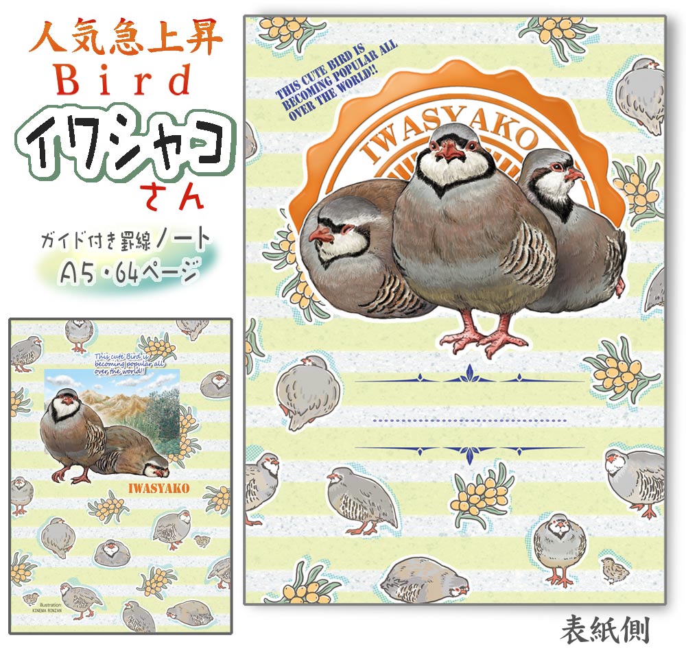 ことり御屋 / ノート/イワシャコ/234A0227” ネコポス 対応可能 ” ( BIRDM...
