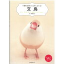 誠文堂新光社 小動物 ☆ 飼い方 上手になれる !　文鳥 9996822