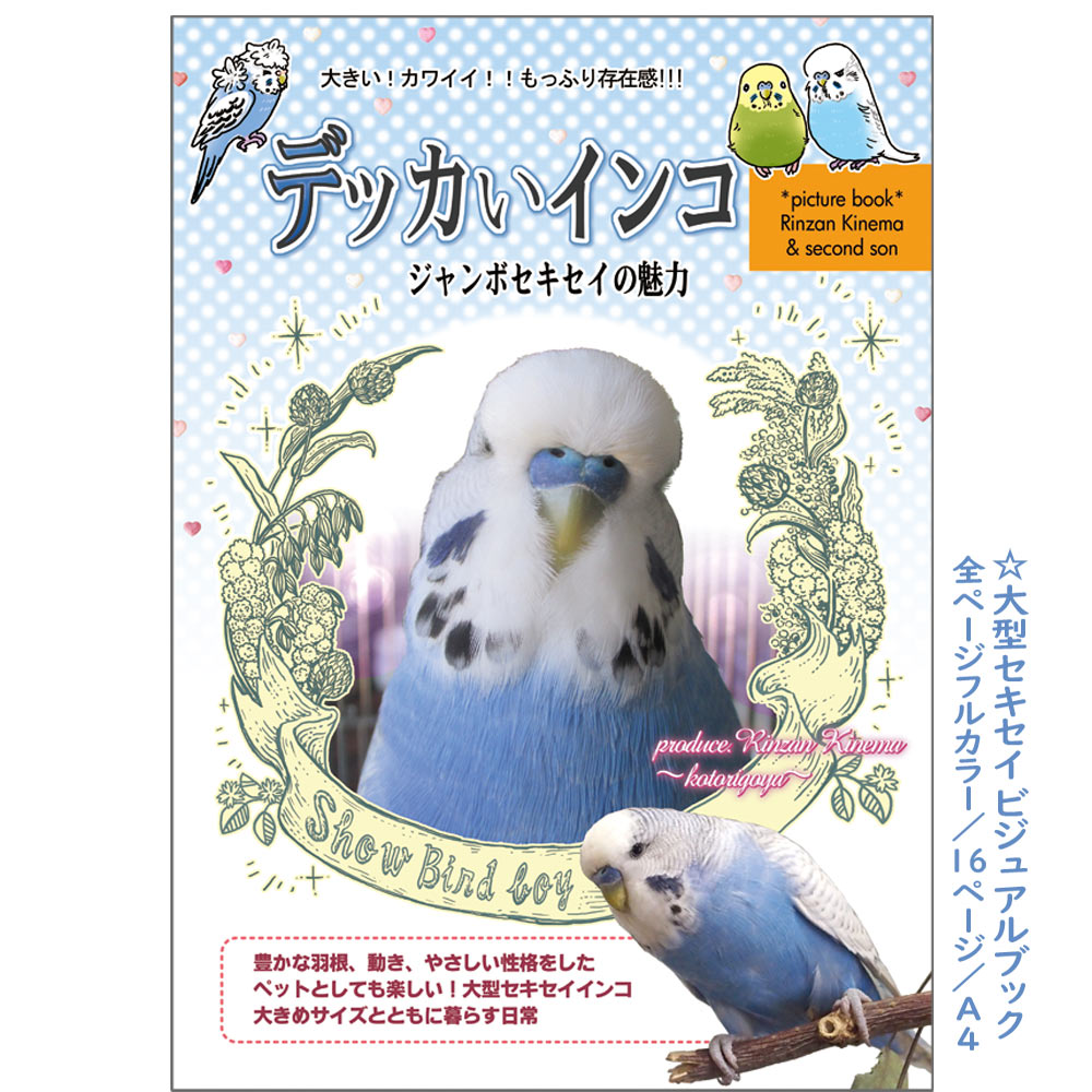 楽天飼鳥用品専門店BIRDMORE楽天市場店ことり御屋 書籍 デッカいインコ 234A0231　ネコポス 対応可能 　 （ BIRDMORE バードモア CRAFT GARDEN 鳥用品 鳥グッズ 鳥 とり トリ インコ プレゼント ）