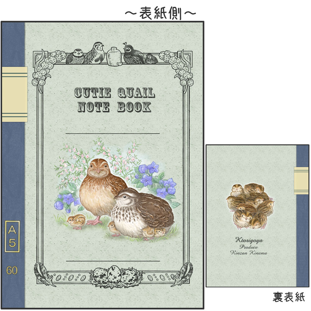 ことり御屋 / ノート / ウズラ ・ 並うずら / 234A0232 ” ネコポス 対応可能...