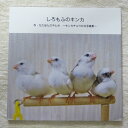 だが屋 写真 同人誌 ・ しろもふのキンカ 083A0277 ネコポス 対応可能　( BIRDMORE バードモア CRAFT GARDEN 鳥用品 鳥グッズ 雑貨 グッズ 鳥 とり トリ インコ プレゼント )