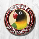 TOMO YAMASHITA DESIGN STUDIO. 飼ってます缶バッジ 「 キエリボタンインコ 」 195A0120 ネコポス 対応可能 ( BIRD...