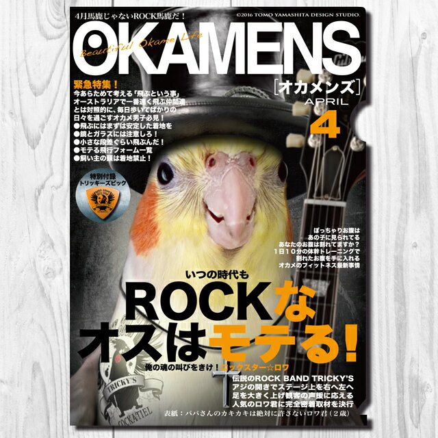 TOMO YAMASHITA DESIGN STUDIO. A4クリアファイル オカメンズ4月号 ROCKなオスはモテてる 195A0230 ネコポス 対応可能 BIRDMORE バードモア CRAFT GARDEN 鳥用品 鳥グッズ 雑貨 グッズ 鳥 とり…