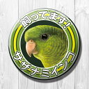 TOMO YAMASHITA DESIGN STUDIO. 飼ってます缶バッジ 「 サザナミインコ 」 195A0257 ネコポス 対応可能 ( BIRDMORE バードモア CRAFT GARDEN 鳥用品 鳥グッズ 雑貨 グッズ 鳥 とり トリ インコ プレゼント )