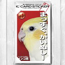 TOMO YAMASHITA DESIGN STUDIO. ICカードステッカー 「インコ党、まっすぐ飼い主」 195A0264 ネコポス 対応可能 ( BIR...