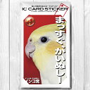 TOMO YAMASHITA DESIGN STUDIO. ICカードステッカー 「インコ党、まっすぐ飼い主」 195A0264 ネコポス 対応可能　( BIRDMORE バードモア CRAFT GARDEN 鳥用品 鳥グッズ 雑貨 グッズ 鳥 とり トリ インコ プレゼント )