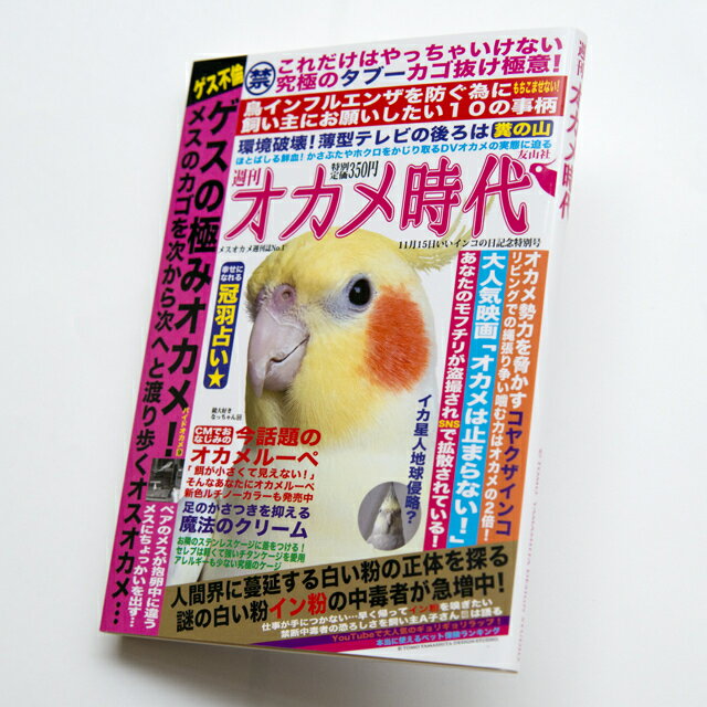 TOMO YAMASHITA DESIGN STUDIO. メモ帳 オカメ時代　195A0355　 ( BIRDMORE バードモア 鳥グッズ 鳥用品 雑貨 鳥 バード プレゼント )