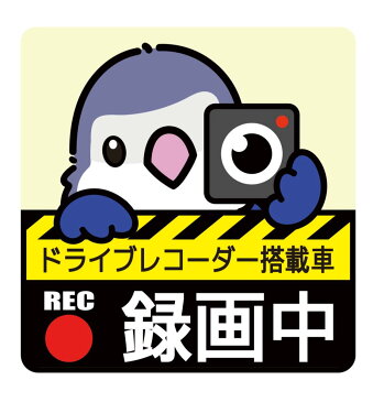 ゆとり屋 / ドライブレコーダー ステッカー コザクラ インコ バイオレット / ネコポス 対応可能　( BIRDMORE バードモア 鳥用品 鳥グッズ 雑貨 グッズ 鳥 とり トリ インコ ドラレコ プレゼント )