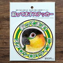 TOMOYAMASHITA DESIGN STUDIO. ズグロシロハラインコ 飼ってます ステッカー 195A0376 ネコポス 対応可能 ( BIRDMO...