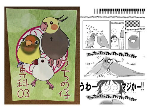 まぢかるどりぃまぁ うちの仔専科 03 053A0250 ネコポス 対応可能 ( BIRDMORE バードモア CRAFT GARDEN 鳥グッズ 鳥用品 雑貨...