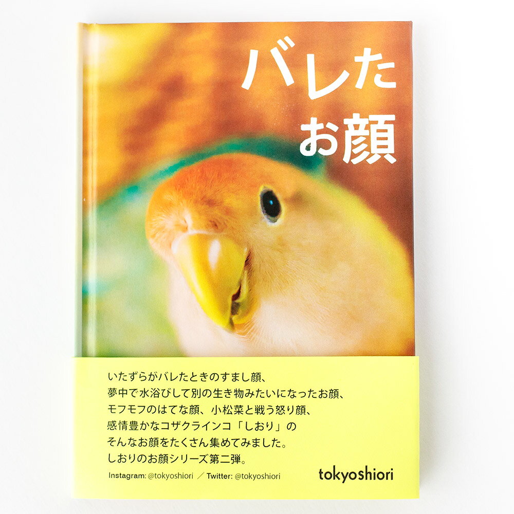 tokyoShiori 手製フォトブック 「 バレたお顔 」 コザクラインコ 245A0253　　ネコポス 対応可能　BIRDMORE バードモア CRAFT GARDEN 鳥用品 鳥グッズ 雑貨 グッズ