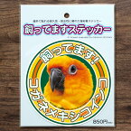 TOMO YAMASHITA DESIGN STUDIO. 飼ってますステッカー　コガネメキシコインコ　195A0385　 ネコポス 対応可能　( BIRDMORE バードモア 鳥用品 鳥グッズ 雑貨 グッズ 鳥 とり トリ インコ プレゼント )