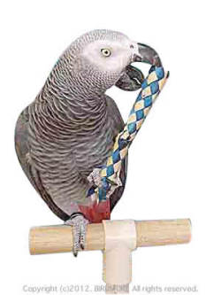 SBC��SB985 �ե��󥬡��ե��� �� 1�� �� 9991151 Ļ �Ȥ� �ȥ� Ļ���� ���� ������ ������� TOY