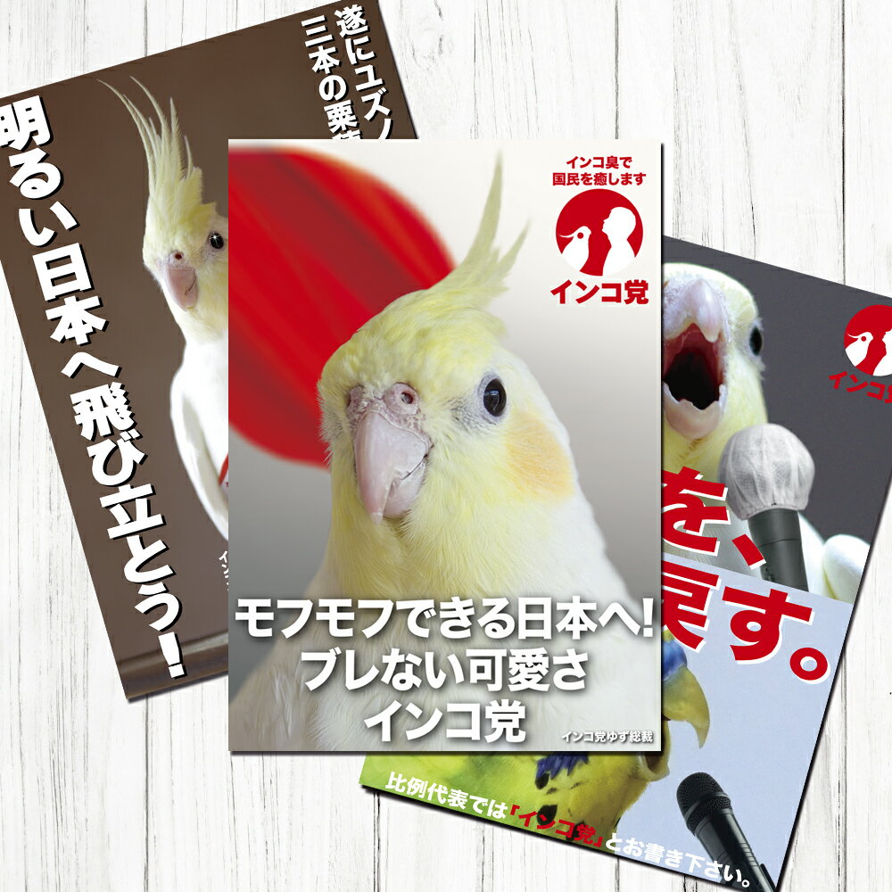 TOMO YAMASHITA DESIGN STUDIO. B3ポスター インコ党1 3枚セット 1 ...