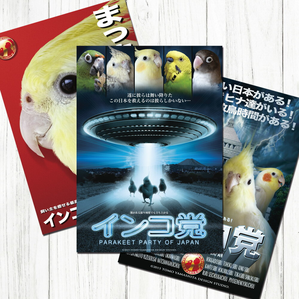 TOMO YAMASHITA DESIGN STUDIO. B3ポスター インコ党2 3枚セット 195A0204 BIRDMORE バードモア CRAFT G...