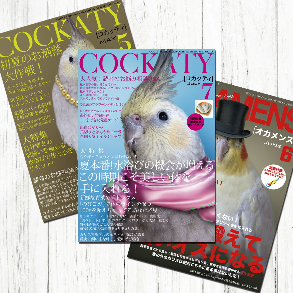 TOMO YAMASHITA DESIGN STUDIO. B3ポスター 雑誌シリーズ1 3枚セット 195A0206 BIRDMORE バードモア CRAFT...