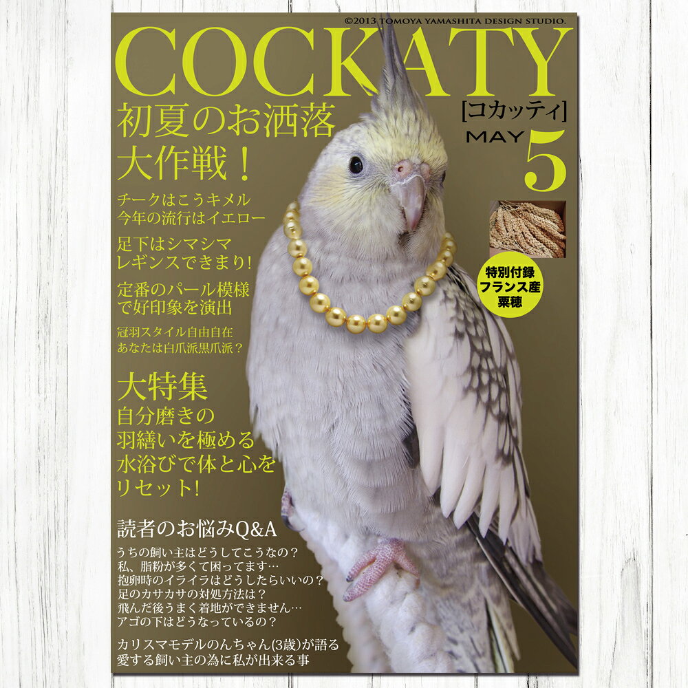 飼鳥用品専門店BIRDMORE楽天市場店のTOMO YAMASHITA DESIGN STUDIO. B3ポスター 雑誌シリーズ1 3枚セット 195A0206 BIRDMORE バードモア CRAFT GARDEN 鳥用品 鳥グッズ 雑貨 鳥 とり プレゼント｜アングル2