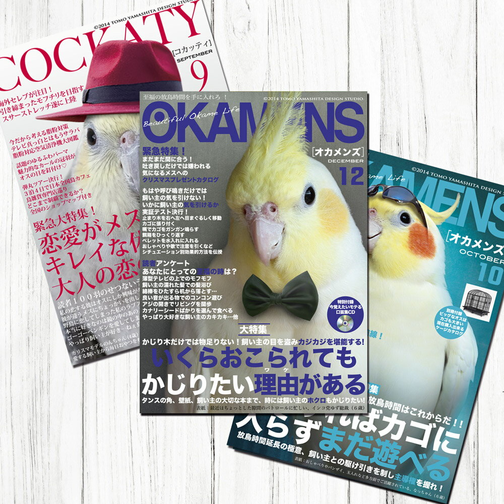 TOMO YAMASHITA DESIGN STUDIO. B3ポスター 雑誌シリーズ2 3枚セット 195A0207 BIRDMORE バードモア CRAFT...