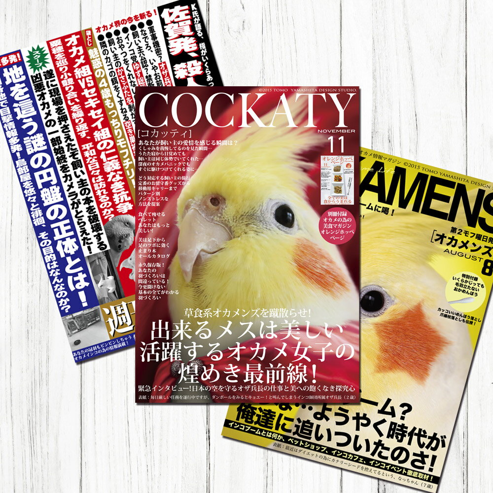 TOMO YAMASHITA DESIGN STUDIO. B3ポスター 雑誌シリーズ3 3枚セット 195A0208 BIRDMORE バードモア CRAFT GARDEN 鳥…