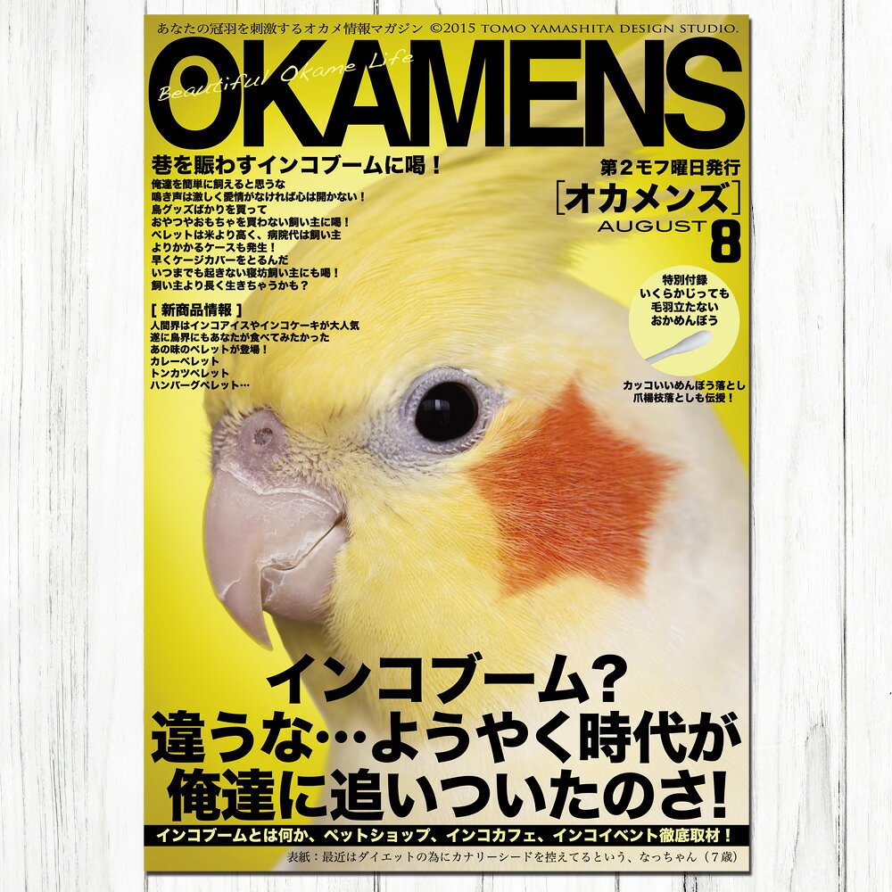 飼鳥用品専門店BIRDMORE楽天市場店のTOMO YAMASHITA DESIGN STUDIO. B3ポスター 雑誌シリーズ3 3枚セット 195A0208 BIRDMORE バードモア CRAFT GARDEN 鳥用品 鳥グッズ 雑貨 鳥 とり プレゼント｜アングル2