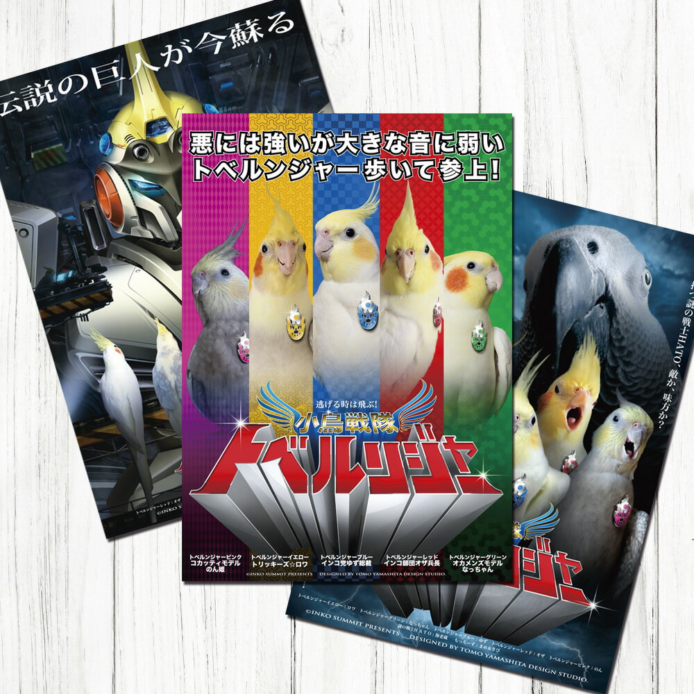 TOMO YAMASHITA DESIGN STUDIO. B3ポスター トベルンジャー 3枚セット 195A0226 BIRDMORE バードモア CRAFT...