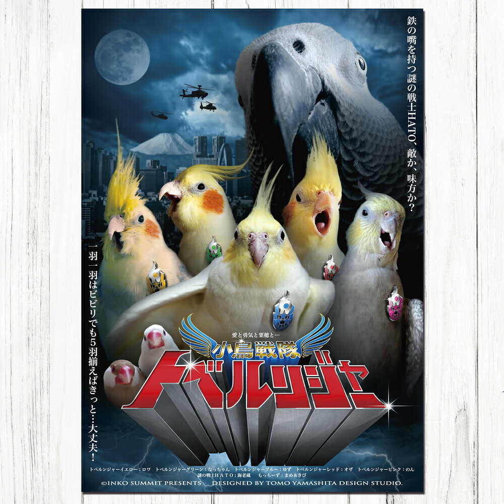 TOMO YAMASHITA DESIGN STUDIO. B3ポスター トベルンジャー 3枚セット 195A0226 BI...