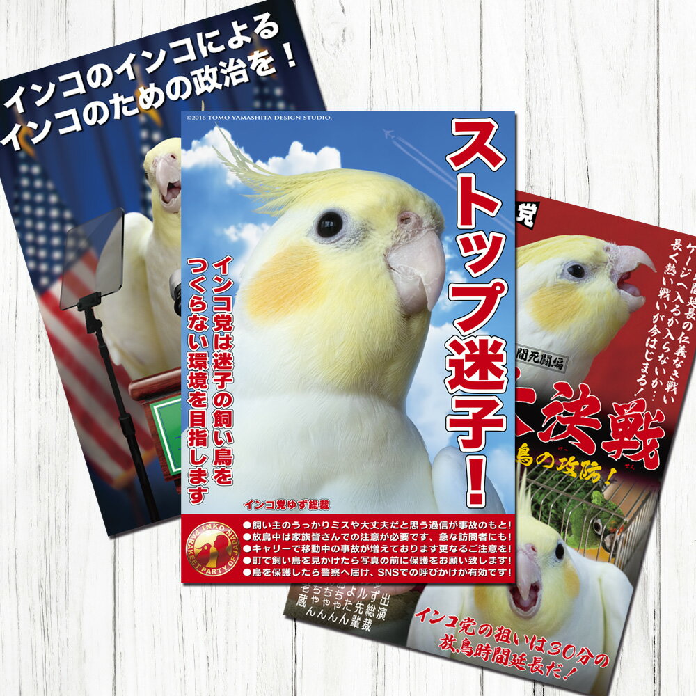 TOMO YAMASHITA DESIGN STUDIO. B3ポスター インコ党3 3枚セット 195A0253 BIRDMORE バードモア CRAFT G...